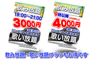 飲み放題・歌い放題プラン